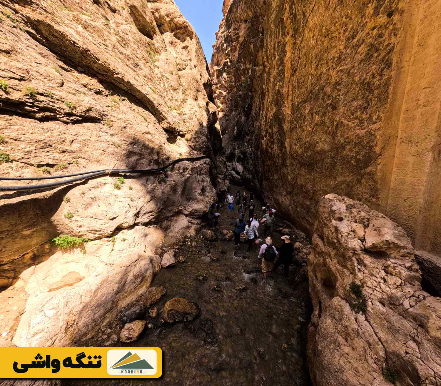 تنگه واشی کجاست؟ - دشت ساواشی